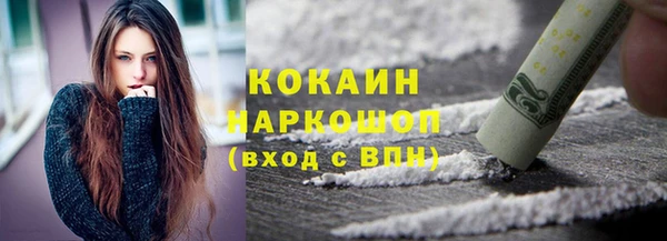 прущий лед Бородино