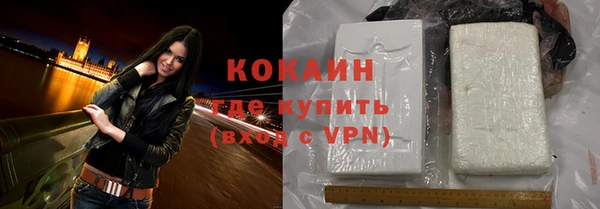 spice Богданович