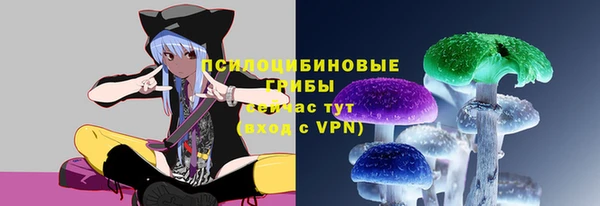 jwh Богородск