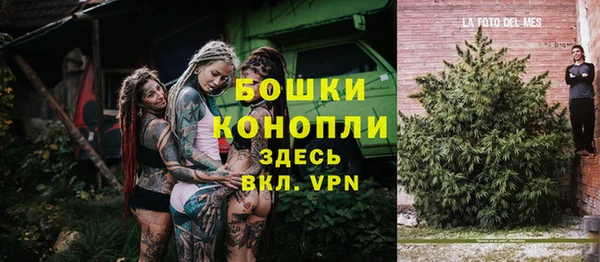 прущий лед Бородино