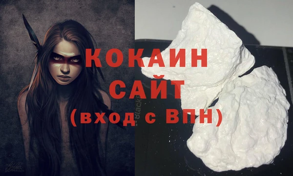 прущий лед Бородино