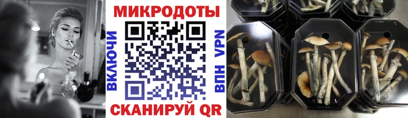 Галлюциногенные грибы Magic Shrooms  Купить где  Нижние Серги 