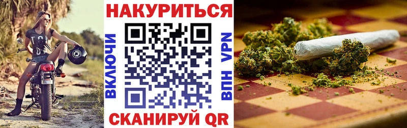 Купить закладки  Нижние Серги  Канабис сатива 